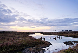 Humboldt Bay - photo copyright Humboldt State University